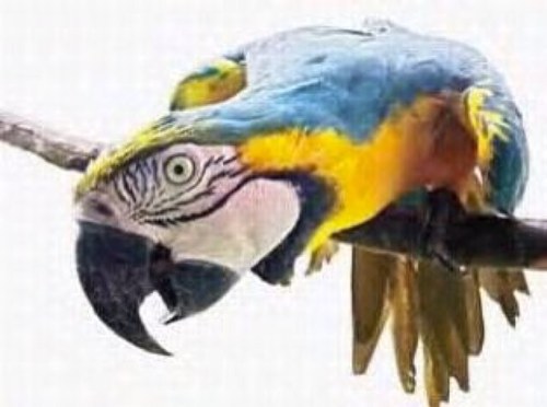 maritzadhers's profile picture. 