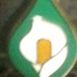 welcome to my twitar