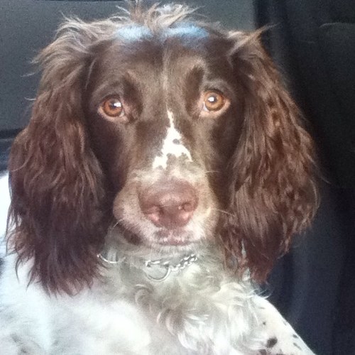 Alannah1ramsay's profile picture. 