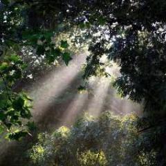 airclean_tpk's profile picture. 空気清浄機情報を紹介するサイト。子供をもつ経験から自らも勉強しつつ、PM2.5問題から花粉症まで最新の情報をお届けします！！