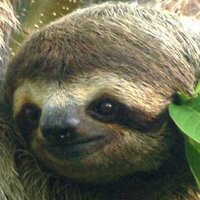 Derek est votre ami #fbpe๐๐ (@dr207714) 's Twitter Profile