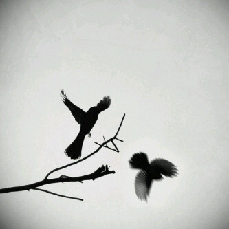 للتواصل pin:54D5086B .
