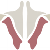 Institute of Human Anatomy(@AnatomyLab) 's Twitter Profile Photo