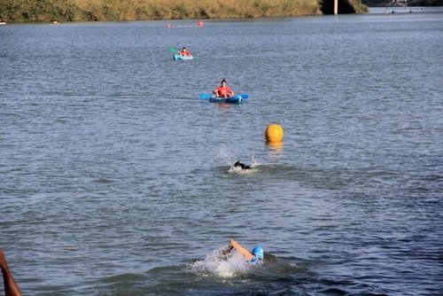 lmp_triatlon's profile picture. 