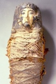 Sheritrm's profile picture. I am 4 1/2 year old mummy from ancient Egypt! I am over 2,000 years old now!