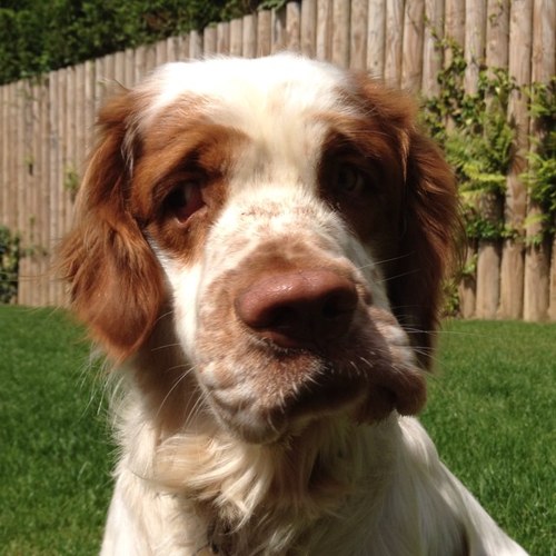 mikeygwill's profile picture. 