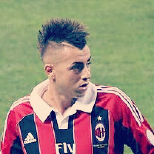 feder41502295's profile picture. 