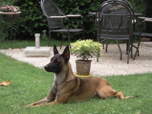 rank127's profile picture. 