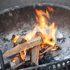 SawyerSupply's profile picture. We are a destination retail collective bridging surf, yoga and outdoor lifestyle products.