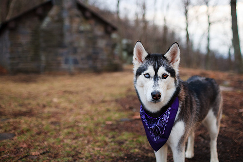 Inga1812's profile picture. I love Mariska Hargitay and I'm obsessed with her, that's all you need to know :)