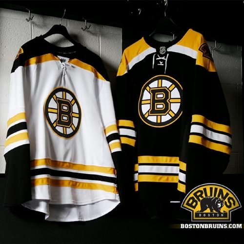 Boston Bruins Fan