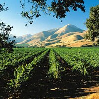 S.Y. KITCHEN (@sykitchen) 's Twitter Profile