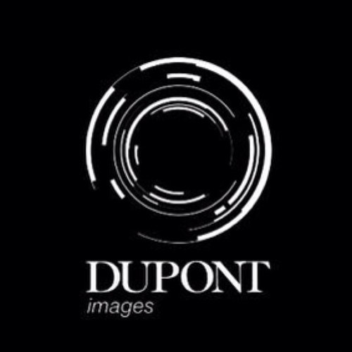 Fotografie | Videografie | Particulieren | Bedrijven | Evenementen | Social Media | Bruiloften | Promofilm | Docufilm 

info@dupontimages.nl