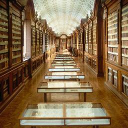 Help us to Reopen the Palatina Library of Parma (est.1761) after the fire! [English & International Version]