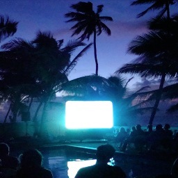 Official Twitter Account for the Rincon International Film Festival.   The most prestigious and largest film festival in Puerto Rico.