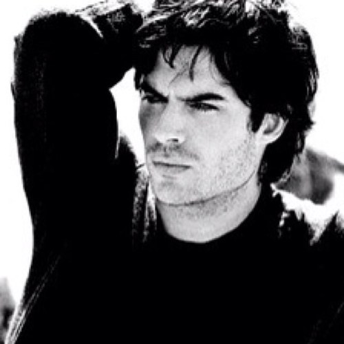 MutatedFang's profile picture. Created to be an experiment. I decided otherwise. Watching over the flock with Max; they're all I have. [RP|Age 25|Maximum Ride]