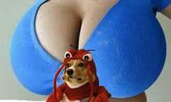 hublojrkhl3's profile picture. 