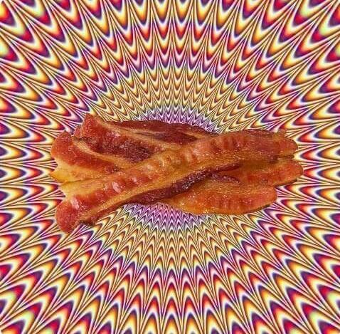 Gastronomical. PR. NY. Spanglish. Dog. Oh, & BACON! #legalizeit