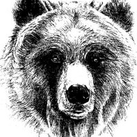 Grange Middle School (@gmsgrizzlies) 's Twitter Profile Photo