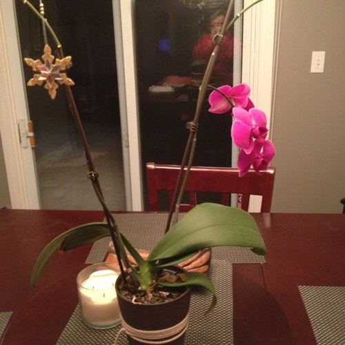 lauriew19's profile picture. 