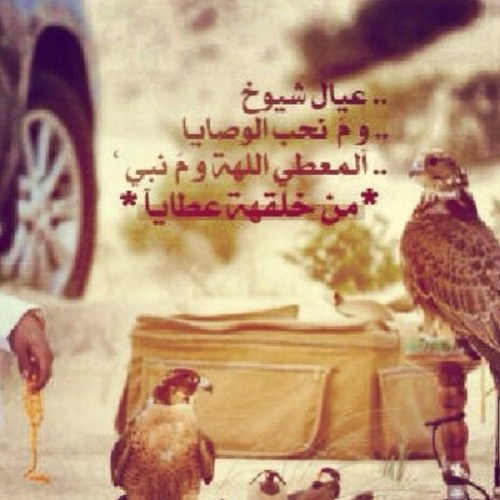 كلامْ النّاس اشبَہْ بالتُرَاب إذَا لمْ يَطير بہِ الھَواء فھُو يُداس عِش حيَاتك فالأفواھ لنْ تَصمُت والألسُنْ لنْ تتوقّف ،،!!