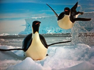 zebulondeschamp's profile picture. Investment, strategy and technology