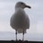 _t18's profile image