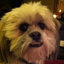 cynthia harold - @andyroxyz - Twitter