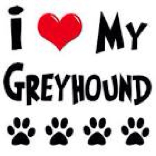 Direct message us your juicy deets about your favorite greyhounds xoxo