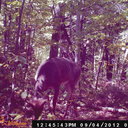 kyle hoffmann - @Kowboy51 - Twitter