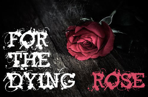 forthedyingrose's profile picture. Female fronted four piece Alternative rock/pop punk band straight out of Access to Music Bristol