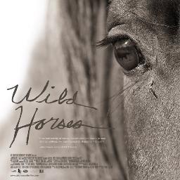 A film to raise awareness about the protection of US wild horses. Directed by Stephanie Martin and shot by Oscar-winning cinematographer Robert Richardson.