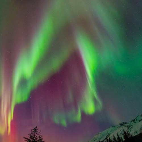 rswanson68's profile picture. 