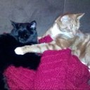 susan ladd - @sladd10 - Twitter