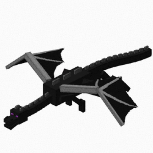 xljxlim's profile picture. Ⓕⓞⓛⓛⓞⓦ ⓜⓔ! ヘ(^_^ヘ) (ノ^_^)ノ ①ⓞⓞ% ⓢⓤⓡⓔ!