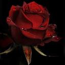 Cheryl Crowe - @CherCrowe319 - Twitter