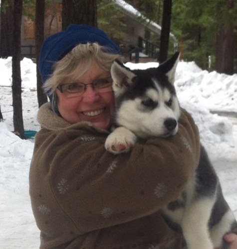 reddesign's profile picture. 