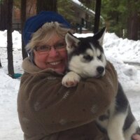 linda smith (@reddesign) 's Twitter Profile