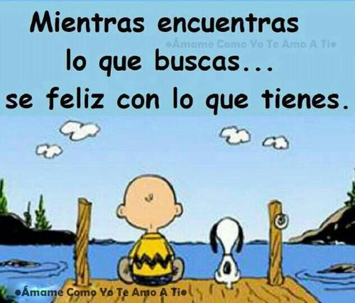 luz amor amistad y nobleza es mi propósito ser feliz