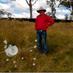 Chris Main (@pinchgut_creek) Twitter profile photo