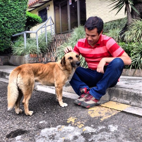 johanzapata's profile picture. Periodista. Estudiante por siempre. Creeré en este país por siempre. Sin plan B.