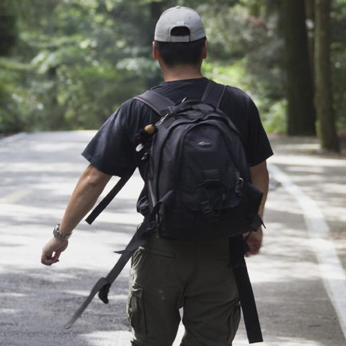 dcdp2006's profile picture. 