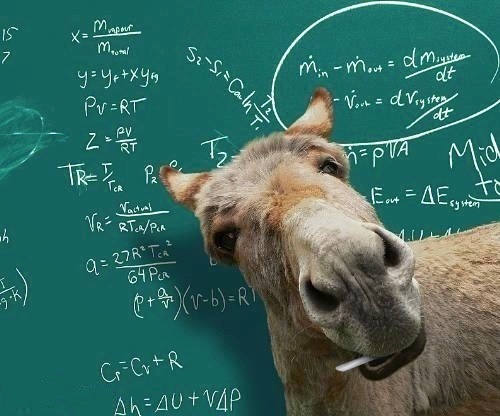 Tha_Smart_Ass's profile picture. The Smartest Ass around.