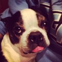 ME McMill - @maria_milliken - Twitter