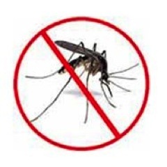 AfricaMalaria's profile picture. I'm a MYP  student trying to spread awareness about Malaria in Sub-Saharan Africa.