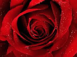 iam the luckiest person alive with perfect family and frnz