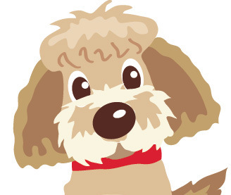 MyOodle dog blog & forum + online dog supplies shop, specialising in helpful info & products for Poodle Mix dogs like me... I'm Jet Cavoodle aka MyOodle.