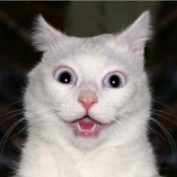 twitmcmitter's profile picture. 