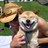 TracyRealtorCIR's profile image