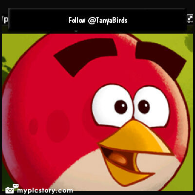 Yang galau? Yang galau? Follow dong jawab deh pertanyaan nya :D buat ngilangin galau;) @TanyaBirds